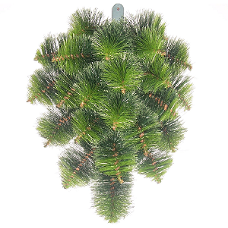 124. Vetva 3 borovica