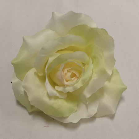 Ruža hlava rozvinutá / 1064