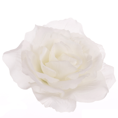 Ruža Francúzka hl. / 1087