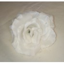 Ruža hlava Sonia / 1167