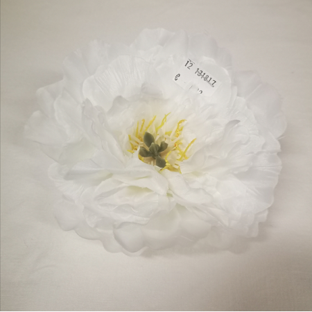 Pivonka hlava / 1318