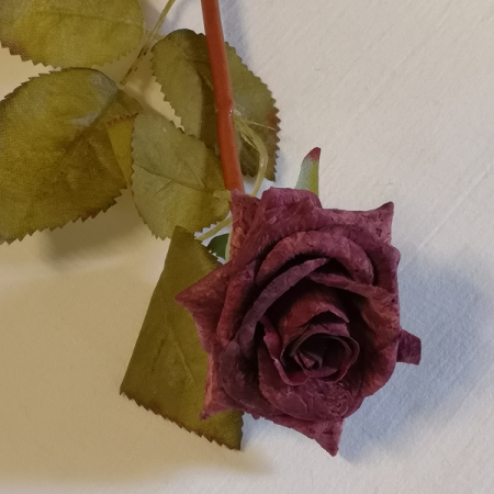 Ruža korková ks / 1414