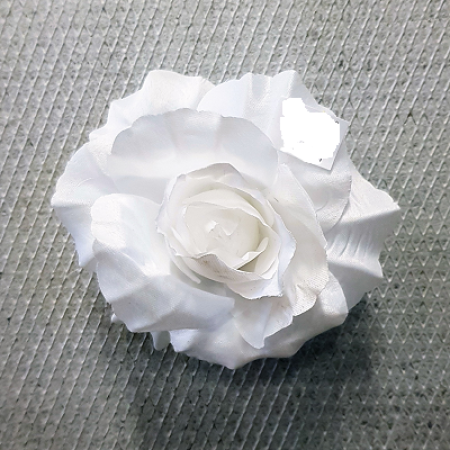 Ruža rozvinutá / 1685