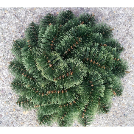 009. Veniec Borovica Plná 30, slamenný základ D-61cm