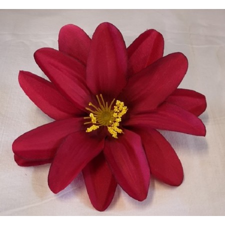 Dália hl. Bordo / 203609