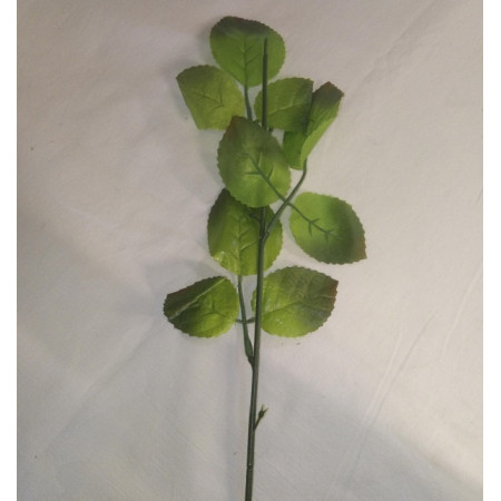 Stonka na ružu / 262000