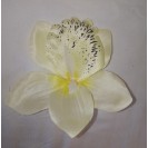 Orchidea hl.13cm / 416