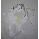 Orchidea hl.13cm / 416