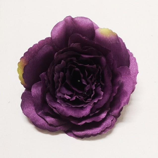 Anglická ruža (pivonková) / 683