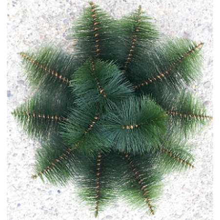 140. Miska veľká borovica, D-40cm