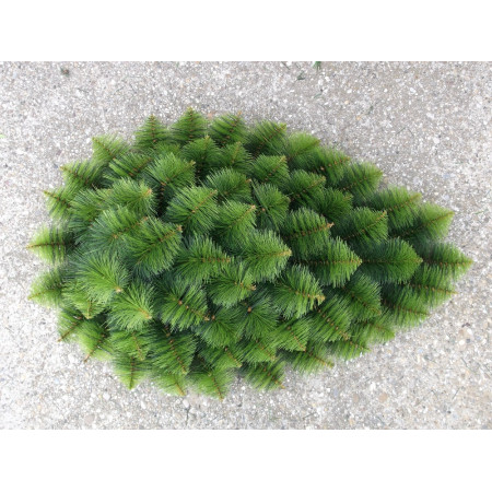 079. Slza borovica veľká na drôte, V-110cm