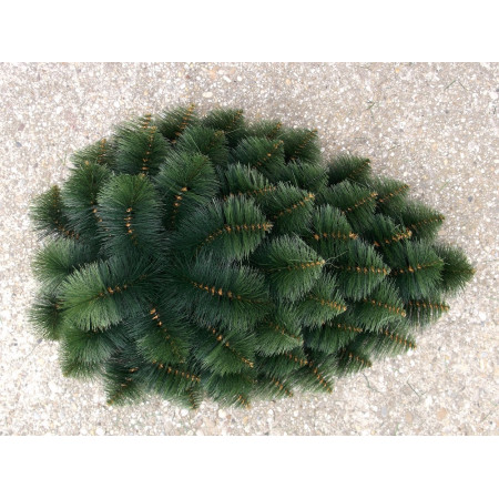 078. Slza borovica malá na drôte, V-95cm