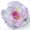 Ruža hlava  / 1000