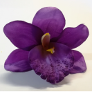 Orchidea hlava / 1015