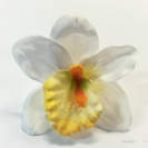 Orchidea hlava / 1015