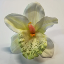 Orchidea hlava / 1015