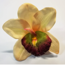 Orchidea hlava / 1015
