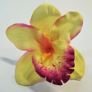 Orchidea hlava / 1015