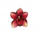  Orchidea satén hlava / 1024