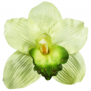  Orchidea satén hlava / 1024