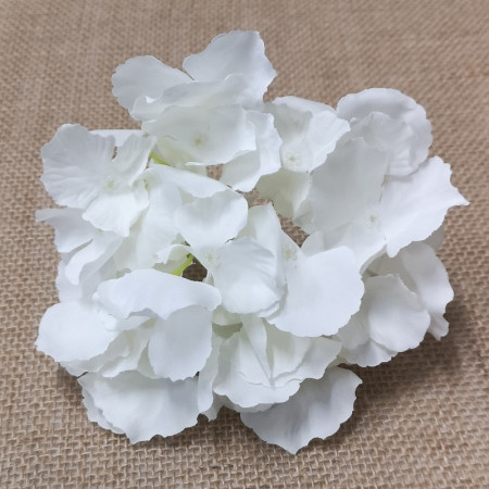 Hortenzia hl. White-Cream / 103201