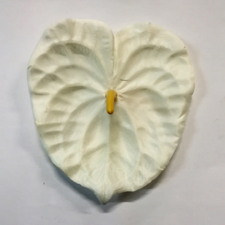 Antúria hl. látková / 1039