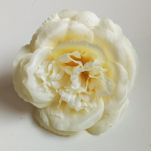 Ruža Anglická hl. / 1049