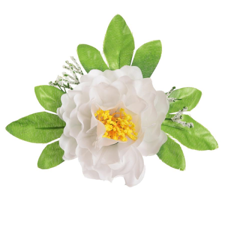 Pivonka hl. s listami / 1052