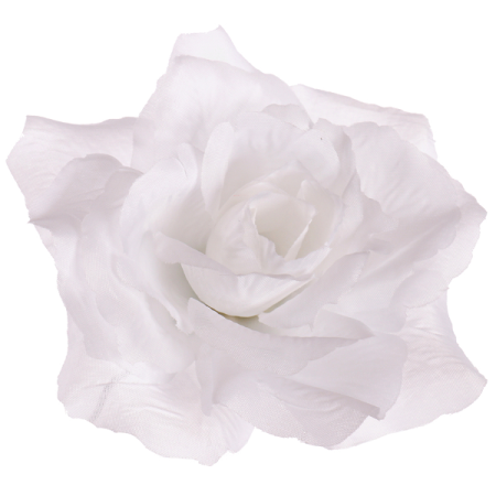 Francúzska ruža / 1690