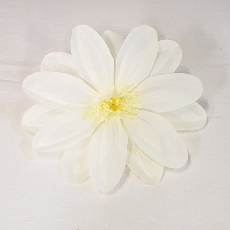 Dália hlava / 109029