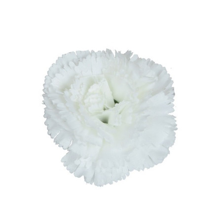 Karafiát hl. Cream / 109801