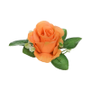Ruža puk s listom a plast.doplnkom / 1113