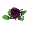 Ruža puk s listom a plast.doplnkom / 1113