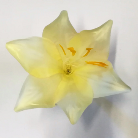 Ľalia long satén / 1142