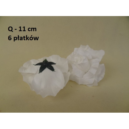 Ruža rozvinutá / 1159