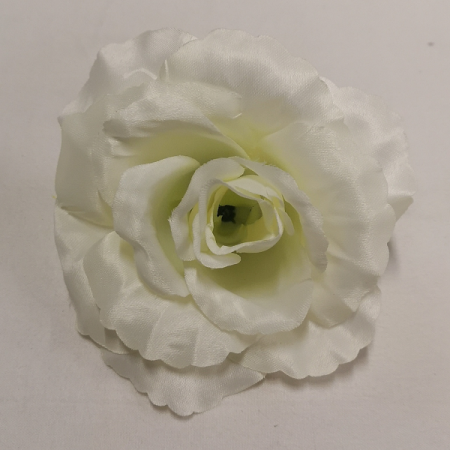 Ruža hlava Sonia / 1167