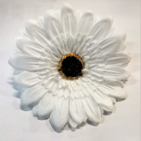 Gerbera hlava / 1313