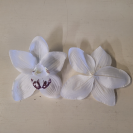 Orchidea hl. White / 145604