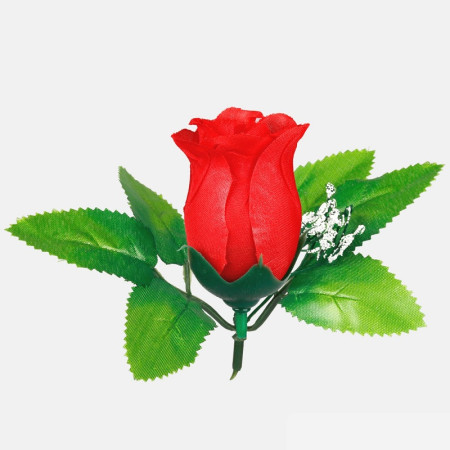 Ruža puk s listom a gypsomilou / 1484