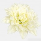 Dalia XL White/153630