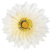 Gerbera hl. / 1539
