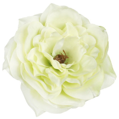 Pivonka hl. Green / 154005