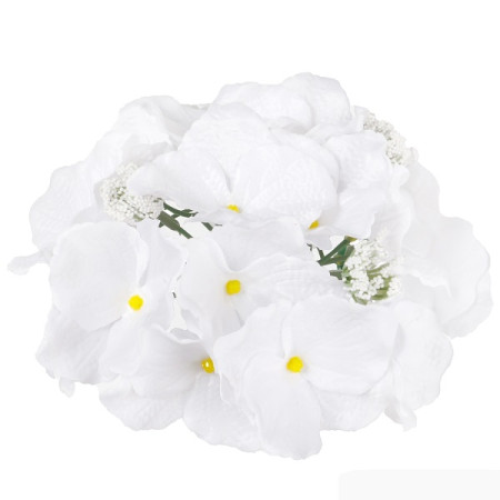 Hortenzia hl. / 1611