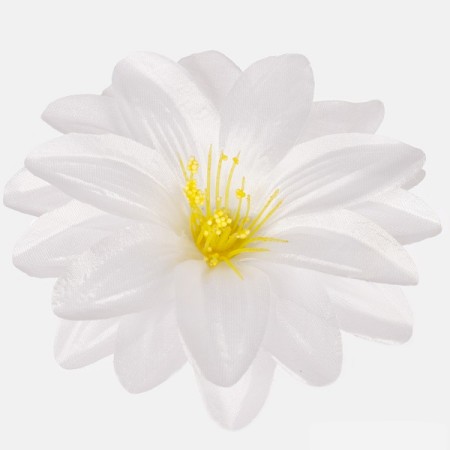 Dália hl. satén / 1624