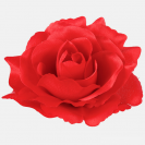 Ruža hlava Sonia / 1625