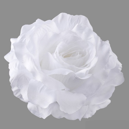 Ruža hl. XXL / 1688