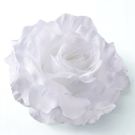 Ruža hl. XXL / 1688