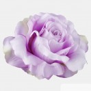 Ruža hl. XXL Lilac / 168813