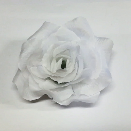 Francúzska ruža / 1690