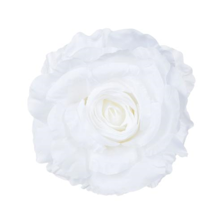 Ruža rozvinutá / 1703